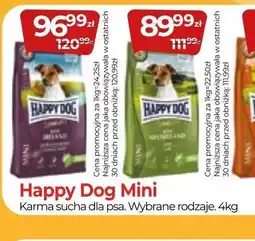 Zoo Karina Happy Dog Mini oferta