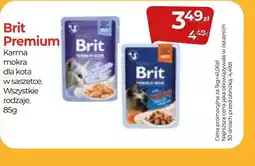 Zoo Karina Brit Premium oferta