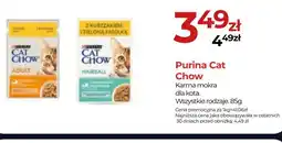 Zoo Karina Purina Cat Chow oferta