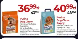 Zoo Karina Purina Dog Chow Puppy oferta