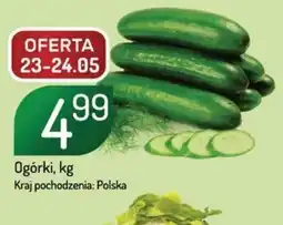 Avita Ogórki oferta