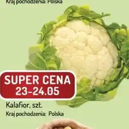 Avita Kalafior oferta