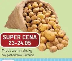 Avita Młode ziemniaki oferta
