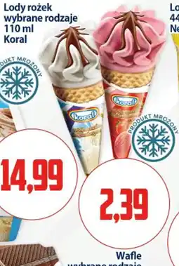Kupiec Lody rożek Koral oferta