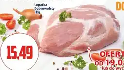 Kupiec Lopatka Dobrowolscy oferta