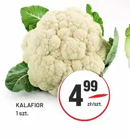 Sedal Kalafior oferta