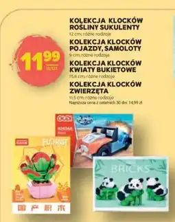 Stokrotka Market Kolekcja klocków oferta