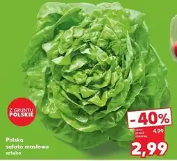 Kaufland Sałata masłowa polska oferta