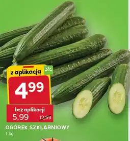 Stokrotka Ogórek szklarniowy 1kg Stokrotka oferta