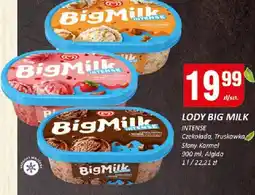 Chorten Lody Big Milk Intense 900ml Algida oferta