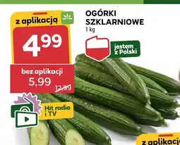 Stokrotka Ogórki szklarniowe 1 kg Stokrotka oferta