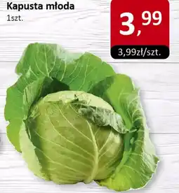 Market Point Kapusta młoda 1szt. Market Point oferta