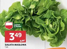 Stokrotka Sałata masłowa 1 szt. Stokrotka oferta