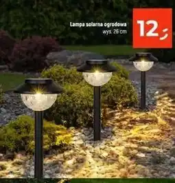 Dealz Lampa solarna 26 cm oferta