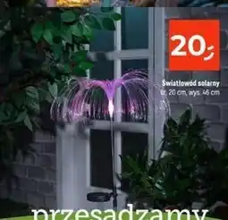 Dealz Lampa solarna 46 cm oferta