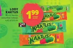 Stokrotka Lody Kaktus Nestlé oferta