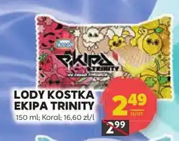 Stokrotka Lody Ekipa Koral oferta