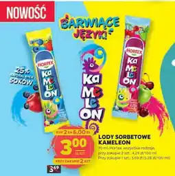Stokrotka Lody sorbetowe Kameleon Hortex oferta