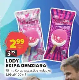 Stokrotka Lody Ekipa Koral oferta