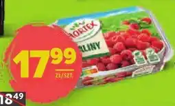 Stokrotka Maliny Hortex oferta