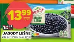 Stokrotka Jagody leśne Hortex oferta