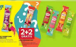 Stokrotka Lody sorbetowe Kameleon Hortex oferta