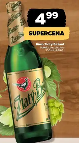 Netto Piwo Zlatý Bažant oferta