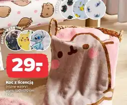 Netto Koc oferta