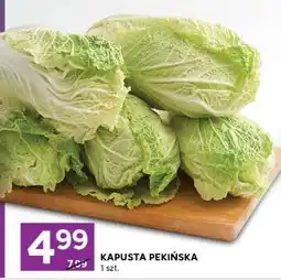 Stokrotka Express Kapusta pekińska oferta