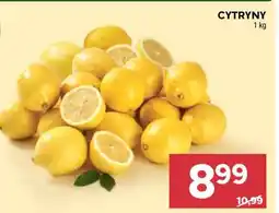 Stokrotka Market Cytryny oferta