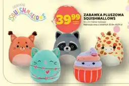 Stokrotka Market Zabawka pluszowa Squishmallows oferta
