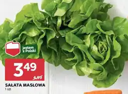 Stokrotka Market Sałata masłowa oferta