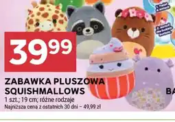 Stokrotka Market Zabawka pluszowa Squishmallows oferta