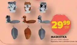 Stokrotka Market Maskotka oferta