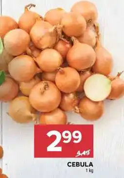 Stokrotka Market Cebula oferta