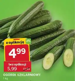 Ogórek szklarniowy