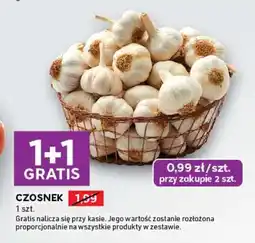 Stokrotka Express Czosnek oferta