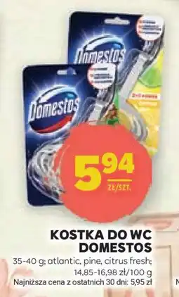 Stokrotka Market Kostka do WC Domestos oferta