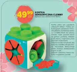 Stokrotka Market Kostka sensoryczna Clemmy oferta