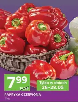Stokrotka Express Papryka czerwona oferta