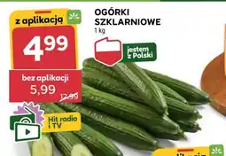 Stokrotka Market Ogórki szklarniowe oferta