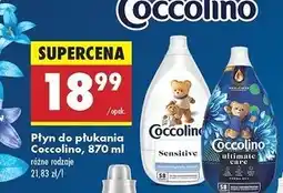 Biedronka Płyn do płukania fresh sky Coccolino Ultimate Care oferta