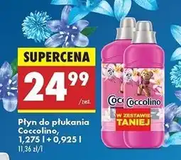 Biedronka Płyn do płukania tiare flower & red fruits 1.275 l + 925 ml Coccolino Perfume Care oferta