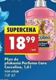 Biedronka Płyn do płukania honeysuckle & sandalwood Coccolino Perfume Care oferta