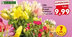 Kaufland Lilie bukiet 3 szt oferta