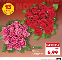 Kaufland Róże oferta