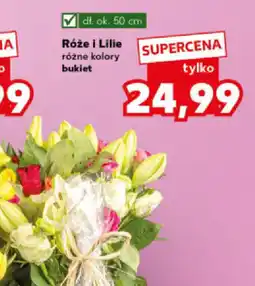 Kaufland Róże i Lilie oferta