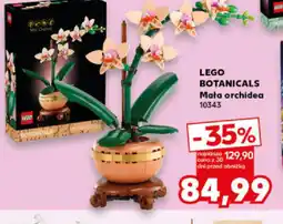 Kaufland LEGO Botanicals Mała orchidea 10343 oferta