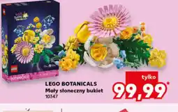 Kaufland LEGO Botanicals Mały słoneczny bukiet oferta
