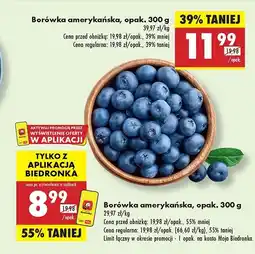 Biedronka Borówki amerykańskie oferta